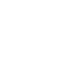The Woods